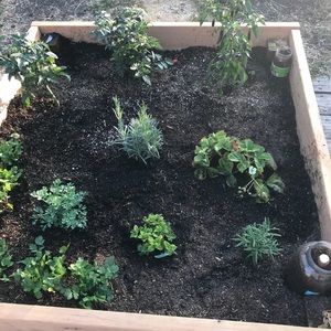 Meet your Posher, Cristina